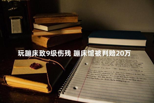 玩蹦床致9级伤残 蹦床馆被判赔20万